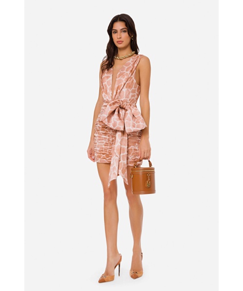 ab11722e2_614_2_df-elisabetta_franchi--1