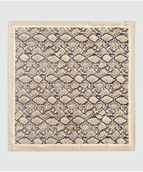 desie_snake_jv-2601-1803-015-josh_v-1